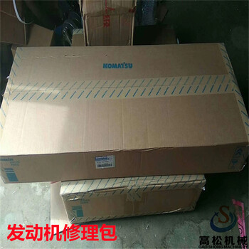 PC1250發(fā)動機大修包6241-K1-9900