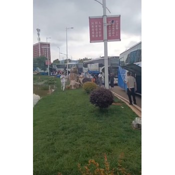 日照到扶松的汽車(chē)客運(yùn)咨詢
