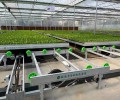 航迪苗床温室现代化种植新型自动化物流苗床农业现代化好帮手