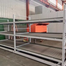 航迪潮汐多層軌道苗床移動種植架多層貨架苗床圖片