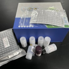 伞枝梨头霉PCR检测试剂盒图片