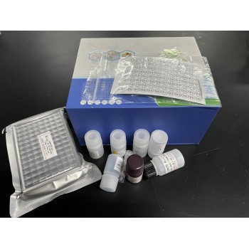 伞枝梨头霉PCR检测试剂盒