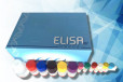 HSA血清白蛋白ELISA试剂盒