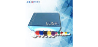 P21P21蛋白ELISA试剂盒图片5