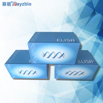 AhR芳香烴受體ELISA試劑盒