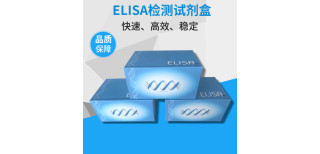 P21P21蛋白ELISA试剂盒图片0