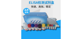 cFn细胞纤维连接蛋白ELISA试剂盒图片1