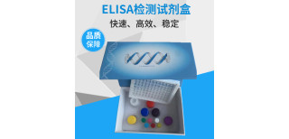P21P21蛋白ELISA试剂盒图片2