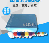 CRT钙网蛋白ELISA试剂盒