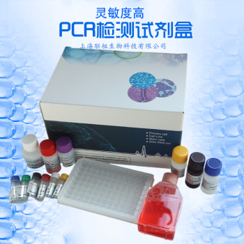 牛型放线菌PCR检测试剂盒