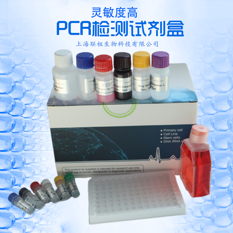 伊蒙微小菌探针法荧光定量PCR试剂盒