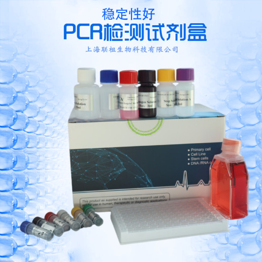 漏芦探针法PCR鉴定试剂盒