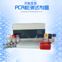 牛細(xì)小病毒探針法熒光定量PCR試劑盒