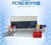 西洋参探针法PCR鉴定试剂盒