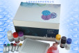 跳跃病病毒PCR检测试剂盒