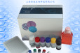 白色念珠菌PCR检测试剂盒