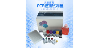 沙氏住白细胞原虫探针法荧光定量PCR试剂盒图片3