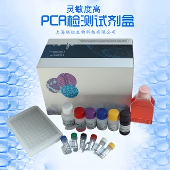 白果PCR鑒定試劑盒