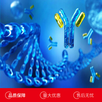 大鼠生長分化因子1(GDF1)多克隆抗體