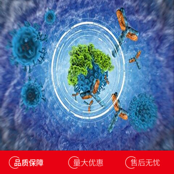 大鼠趋化因子(C-X-C基序)配体1(CXCL1)单克隆抗体