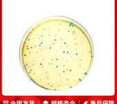 抗生素5号培养基