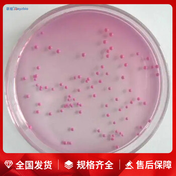 胰酪大豆胨瓊脂培養(yǎng)基(TSA)
