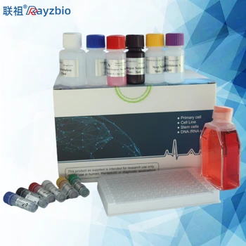 甲基檸檬酸合酶(MCS）試劑盒可見(jiàn)分光光度法