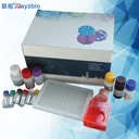 ?；D(zhuǎn)移酶（AAT）試劑盒可見(jiàn)分光光度法