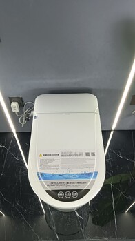 002智能坐便器/帕特爾智能馬桶廠家直供