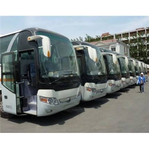 客车:泗阳到滑县的客车/大巴车+顺带宠物货物快运