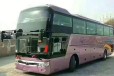 客车:泗阳到漳州的汽车大巴（司机电话是多少）+顺带宠物货物快运