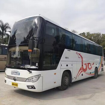 客車:漣水到萊州的直達(dá)大巴+順帶寵物貨物快運