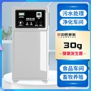 ZCA-30中辰臭氧发生器30克水处理纯净水消毒氧化脱色臭氧消毒机