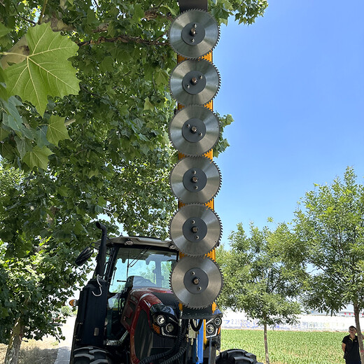 甘肅定西棗莊修剪機(jī)廠家