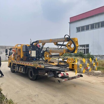 重慶大渡口道路隔離帶綠籬修剪機