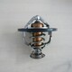 節(jié)溫器6