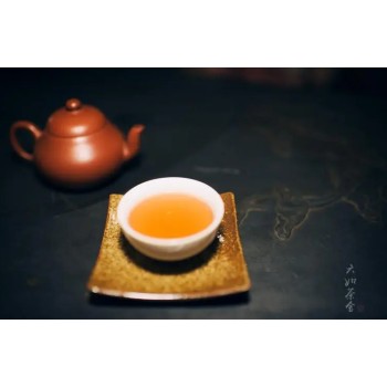 广州品茶工作室开课了，新茶嫩茶，探店广州茶道