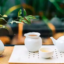 探店义乌，义乌联系品茶，新茶嫩茶图片