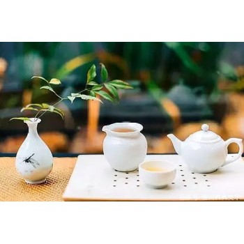 广州品茶工作室开课了，新茶嫩茶，探店广州茶道