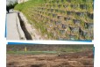 东北辽宁土工格室路基修复治理HDPE土工格室边坡绿化矿山复绿