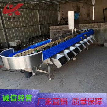 丑橘全自動稱重分揀機楊桃全自動重量分選機稱重機