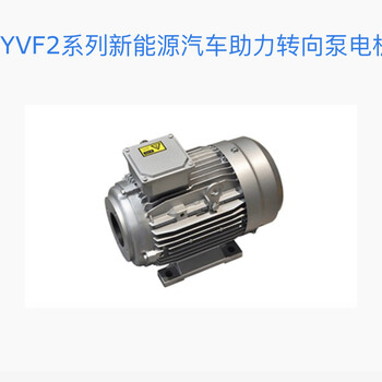 YYVF系列新能源汽車助力轉向泵電機