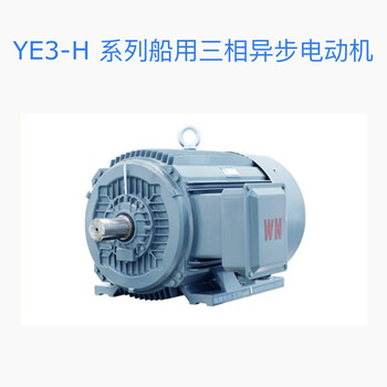 YE3-H系列船用三相異步電動(dòng)機(jī)
