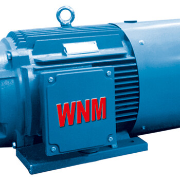 YZC系列低振動(dòng)低噪音三相異步電動(dòng)機(jī)