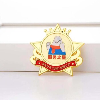 金屬徽章定制動(dòng)漫烤漆琺瑯胸牌獎(jiǎng)?wù)滤净湛ㄍo(jì)念章訂制