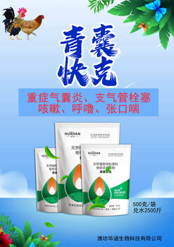 雞鴨鵝呼吸道有問題氣囊炎支堵打呼嚕怪叫喂什么好