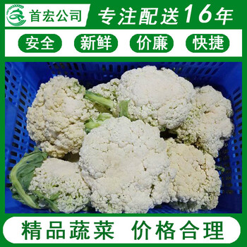 生鮮配送蔬菜公司-首宏蔬菜配送公司