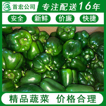 生鮮配送蔬菜公司-首宏蔬菜配送公司