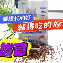 又實惠的貓糧品牌有哪些？福派斯鮮肉貓糧是一個圖片