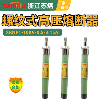 高压限流熔断器XRNP-10kv/0.5A1A/2A/3A3.15A熔丝管带螺纹熔管